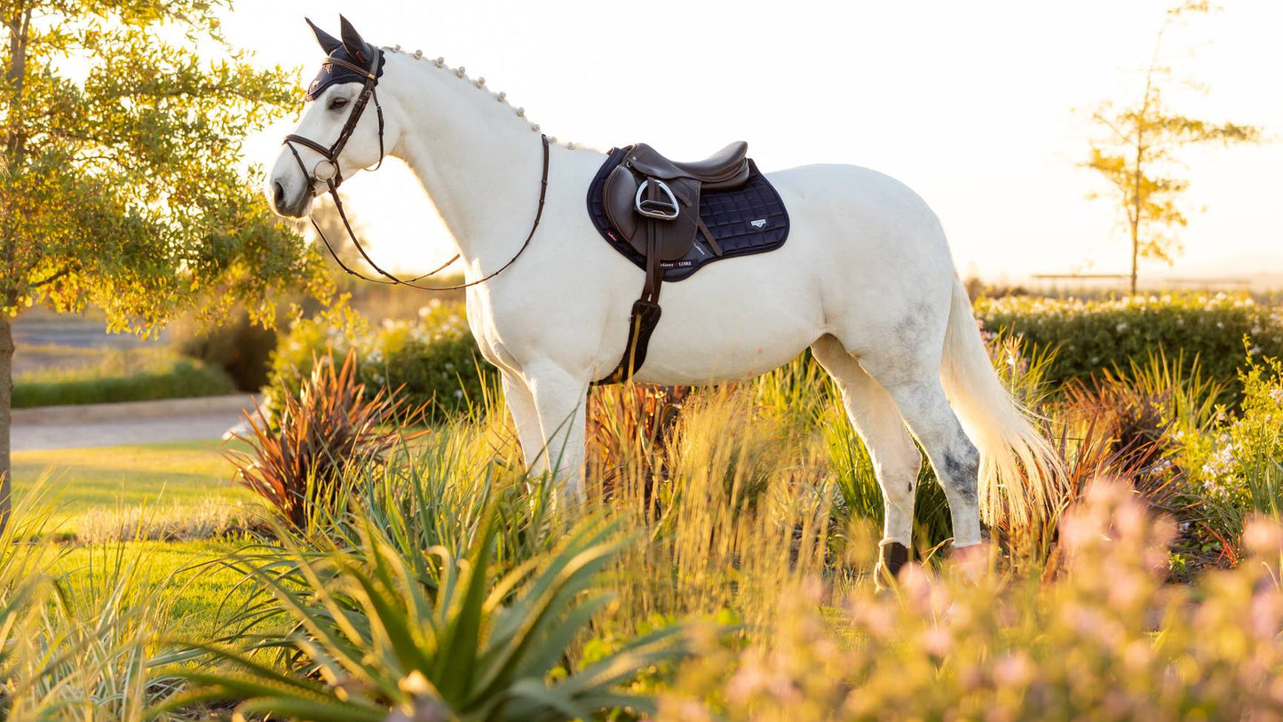 LeMieux Loire Classic Close Contact Square